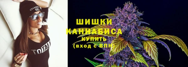 ALPHA PVP Остров
