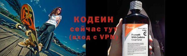 прущие грибы Осинники