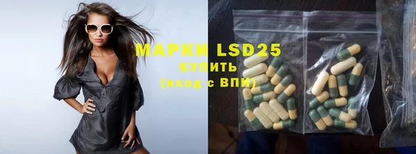 прущие грибы Осинники