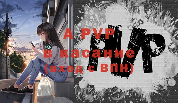 прущие грибы Осинники