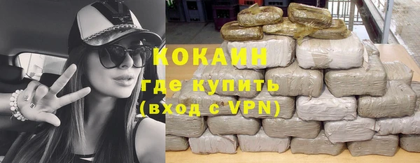 шишки Весьегонск