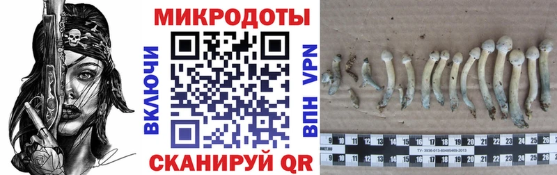 Псилоцибиновые грибы Psilocybe  kraken зеркало  Коммунар 