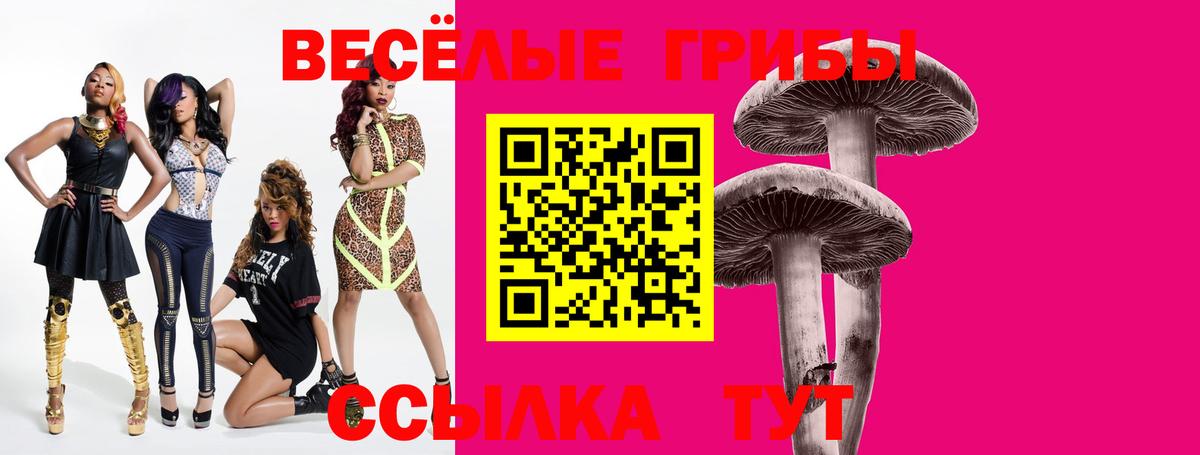 Псилоцибиновые грибы Magic Shrooms  Коммунар  Псилоцибиновые грибы Magic Shrooms 