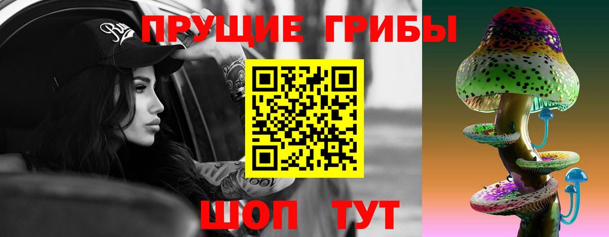 цены наркотик  Галлюциногенные грибы Psilocybe  Вход с VPN  Коммунар  Псилоцибиновые грибы мицелий 